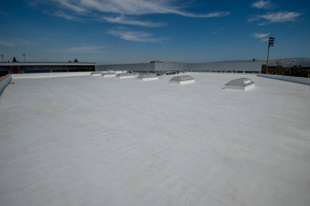 Best Skylight Installation and Repair  in Van Horn, TX